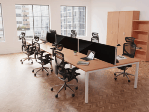 Evoiva And Eriga Bundle – Main Iamge