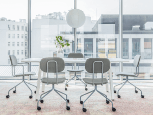 Ogiva 1 And Nicasi 1 Bundle (1)