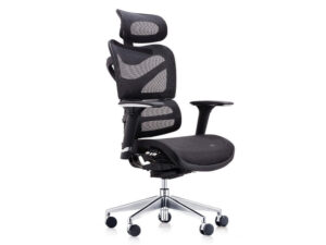 Mayla Black Executive Ergonomic Mesh Chair