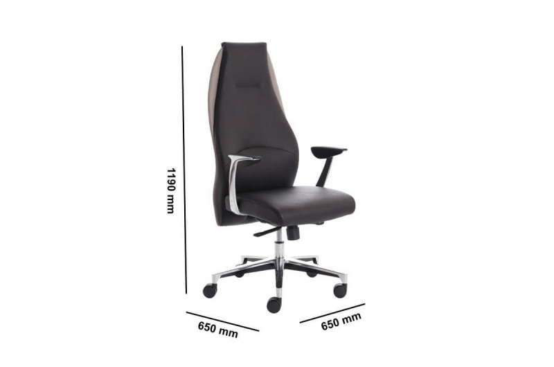 Miel High Back Leather Executive Chair Dimensions Img1