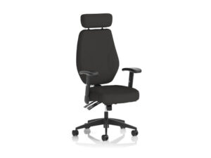 Ness High Back Black Fabric Ergonomic Office Chair With Arms And Headrest Main Img