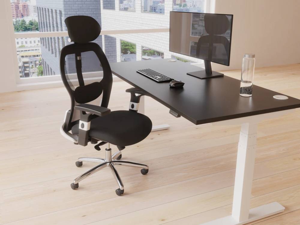 Sandye Mesh Back Executive Office Chair 02 Img Sandye Mesh Back Executive Office Chair 02 Img