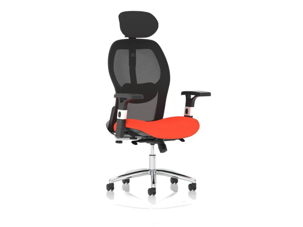 Sandye Mesh Back Executive Office Chair 04 Img Sandye Mesh Back Executive Office Chair 04 Img