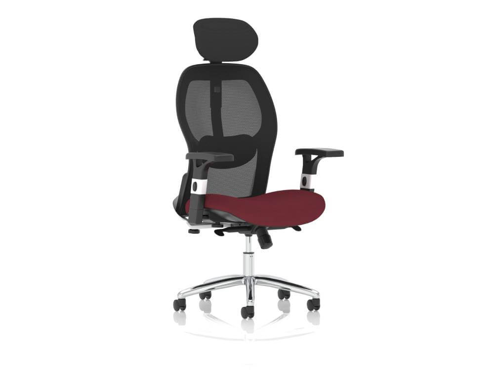 Sandye Mesh Back Executive Office Chair 05 Img Sandye Mesh Back Executive Office Chair 05 Img
