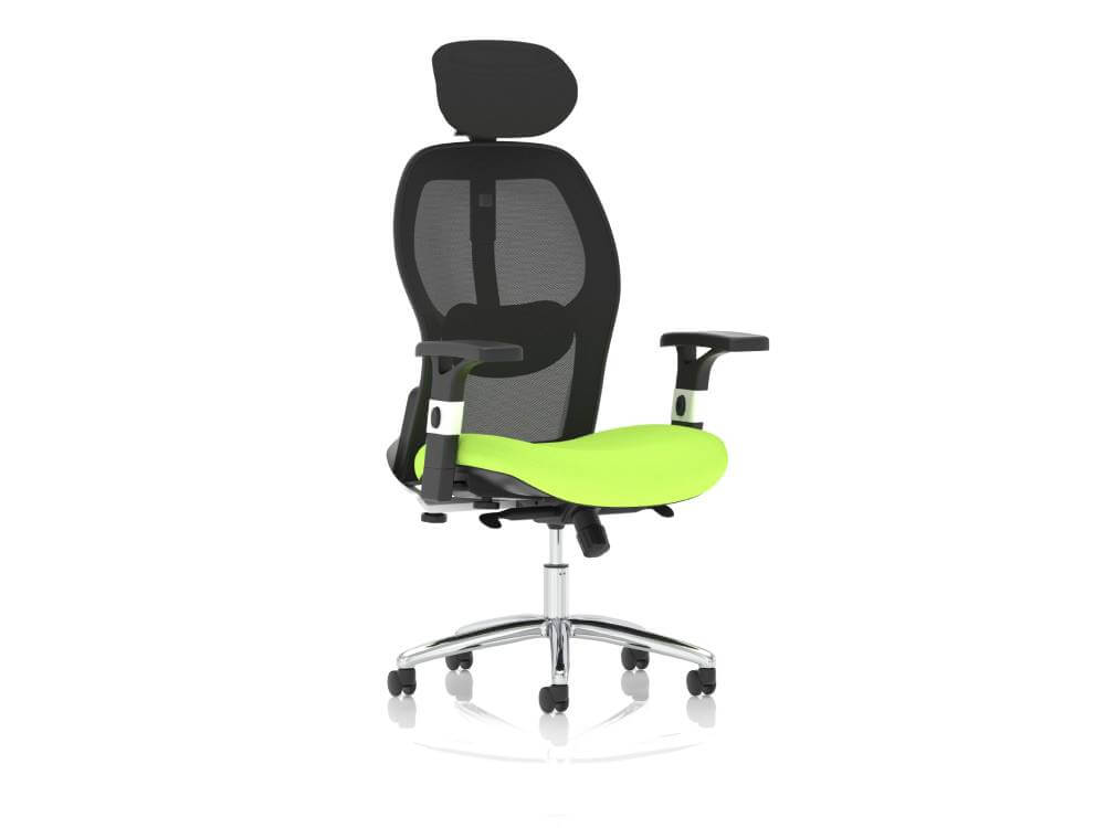 Sandye Mesh Back Executive Office Chair 06 Img Sandye Mesh Back Executive Office Chair 06 Img