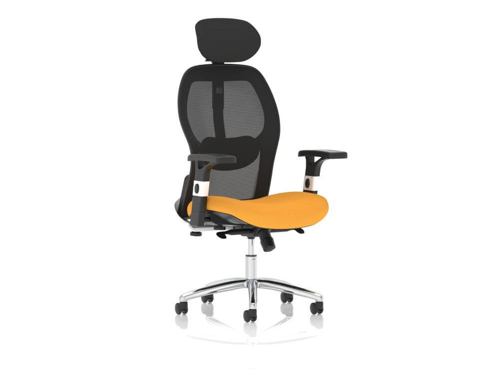 Sandye Mesh Back Executive Office Chair 08 Img Sandye Mesh Back Executive Office Chair 08 Img