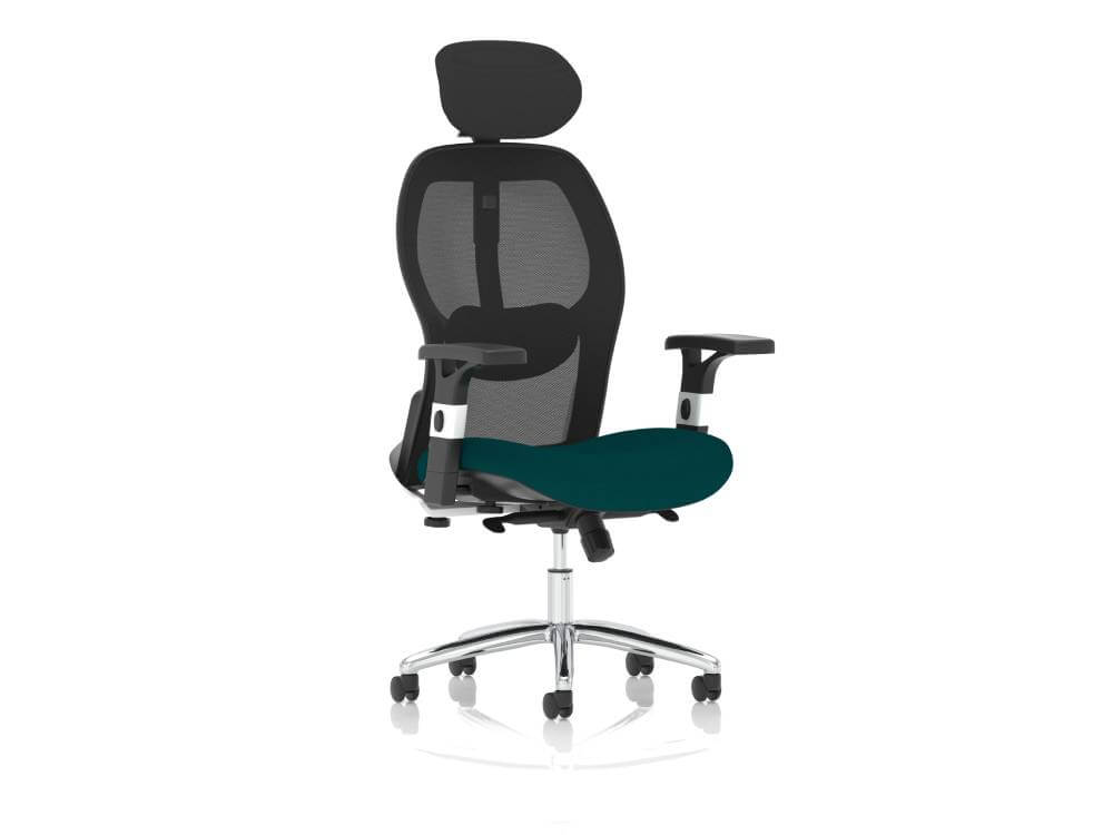 Sandye Mesh Back Executive Office Chair 09 Img Sandye Mesh Back Executive Office Chair 09 Img