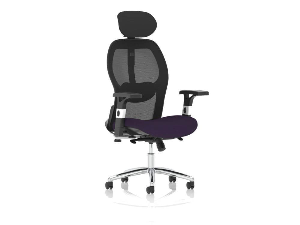 Sandye Mesh Back Executive Office Chair 10 Img Sandye Mesh Back Executive Office Chair 10 Img