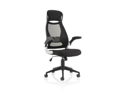 Stormy High Mesh Back Black Executive Office Chair With Armrest 03 Img