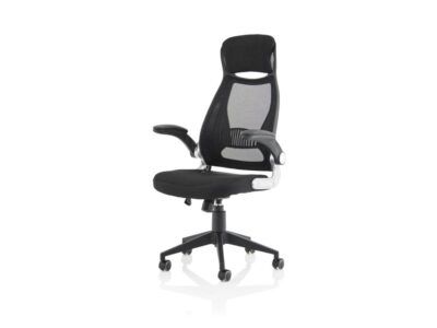 Stormy High Mesh Back Black Executive Office Chair With Armrest 05 Img