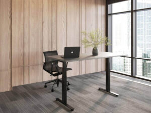 Floro Rectangular Electric Height Adjustable Office Desk Main Img