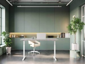 Raelyn Rectangular Electric Height Adjustable Desk Main Img